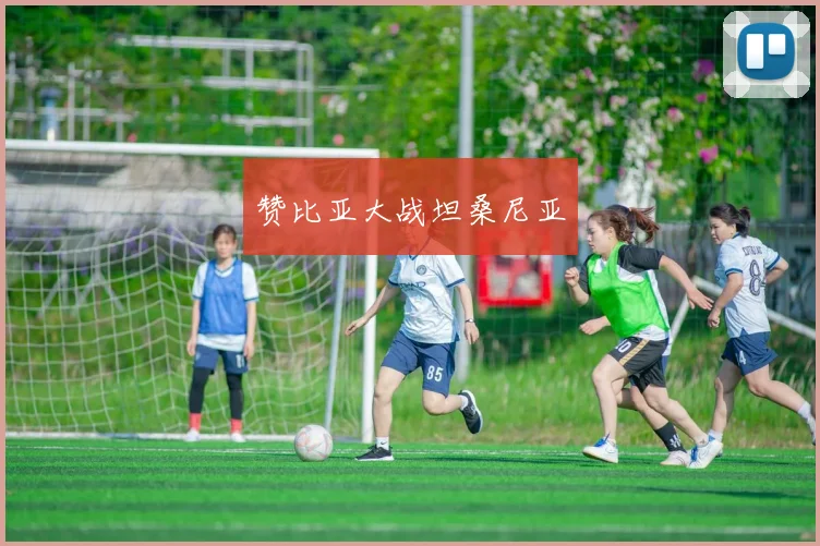 赞比亚大战坦桑尼亚