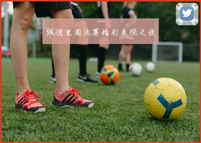 佩德里淘汰赛精彩表现之夜