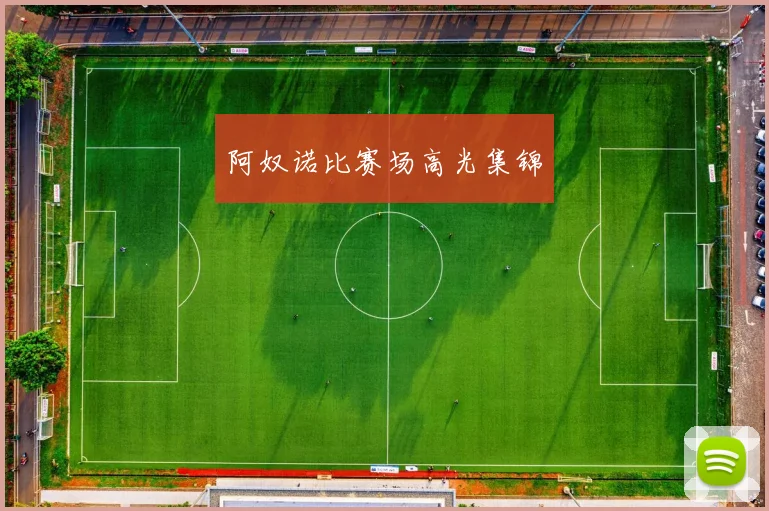 阿奴诺比赛场高光集锦