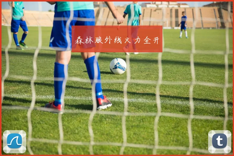 森林狼外线火力全开