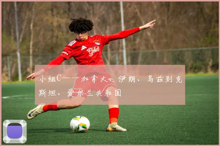 小组C——加拿大、伊朗、乌兹别克斯坦、爱尔兰共和国