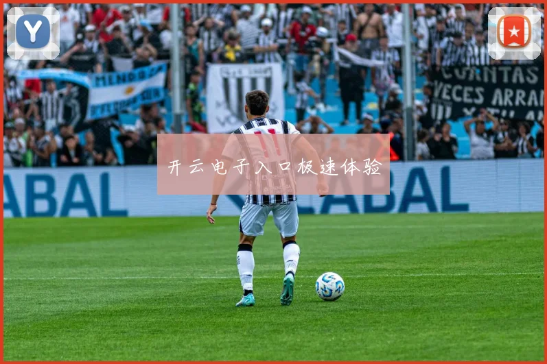 开云电子入口极速体验