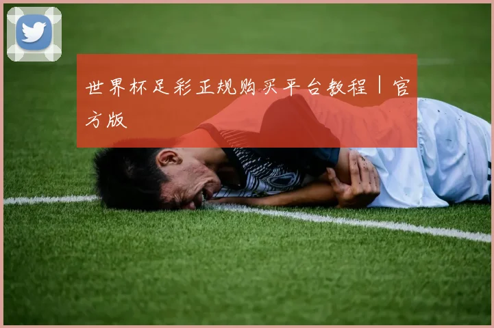 世界杯足彩正规购买平台教程｜官方版