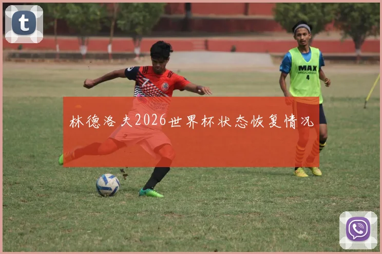 林德洛夫2026世界杯状态恢复情况
