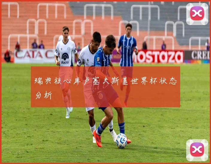 瑞典核心库卢塞夫斯基世界杯状态分析