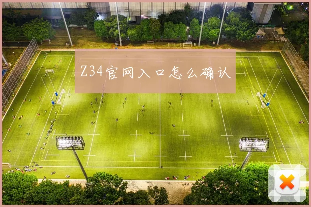 Z34官网入口怎么确认