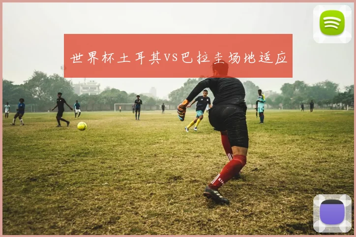 世界杯土耳其vs巴拉圭场地适应