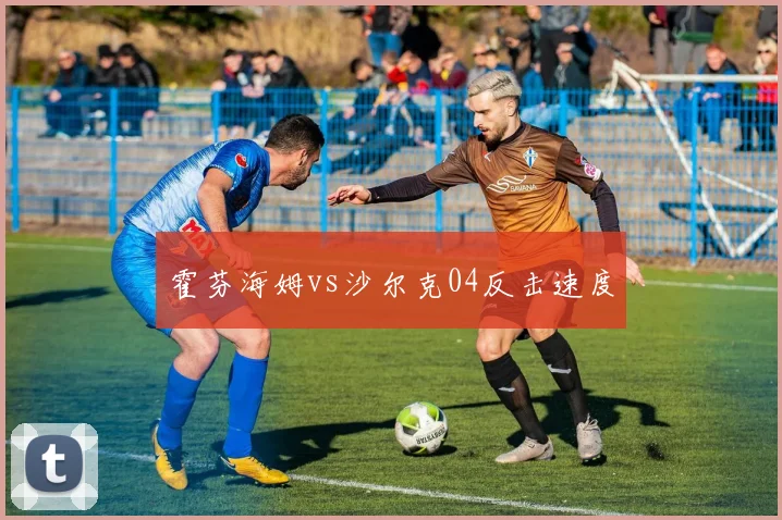 霍芬海姆vs沙尔克04反击速度