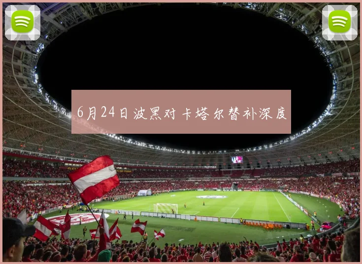 6月24日波黑对卡塔尔替补深度