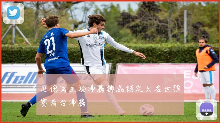厄德高主场沸腾挪威锁定头名世预赛看台沸腾