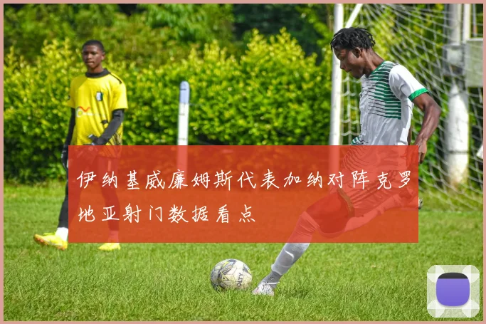 伊纳基威廉姆斯代表加纳对阵克罗地亚射门数据看点